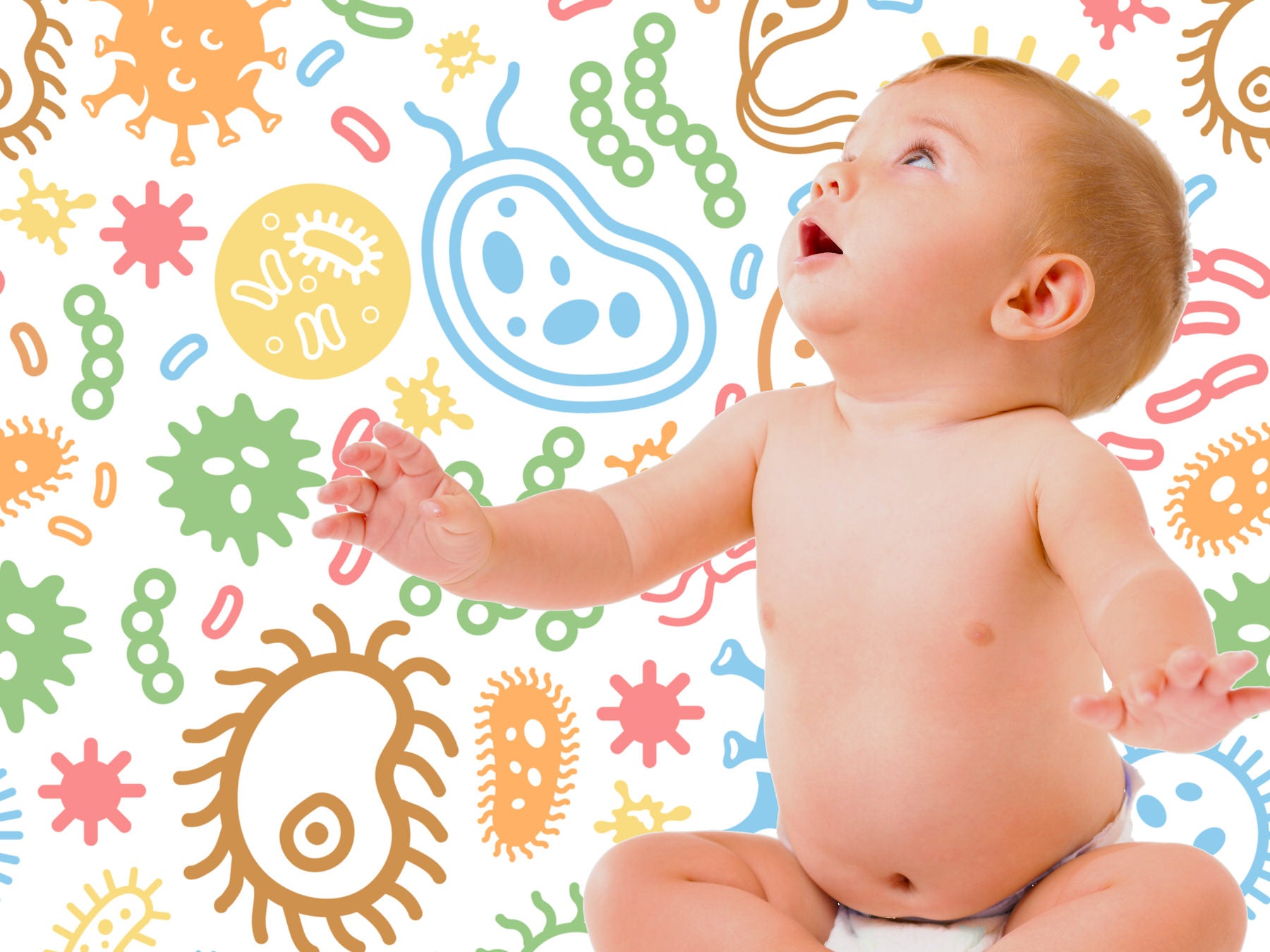 Understanding the Infant Gut Biome