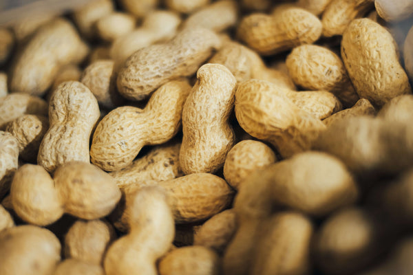 Understanding Peanut Allergy